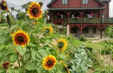 Mazurski Staw - Foto 66