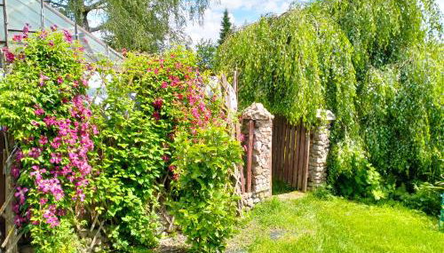 Nad żabim stawem - Foto 3