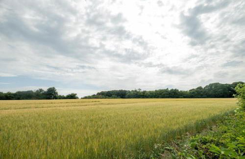 Sedge House, Eastbridge, Close to the coast, RSPB Nature Reserve, Dunwich, Sizewell and Leiston - Managed by Aldeburgh Coastal Cottages - Foto 40