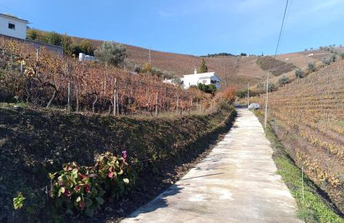 Quinta Da Batoca - Foto 12