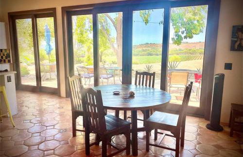 Hilltop Vineyard and Agave Field with View - Photo 17