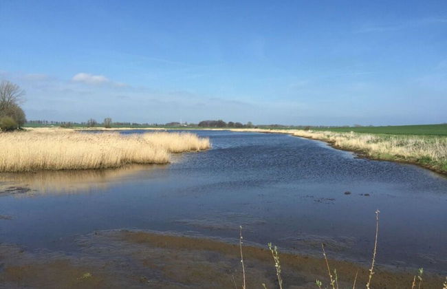 Holiday Home Rugen-dream - Photo 34