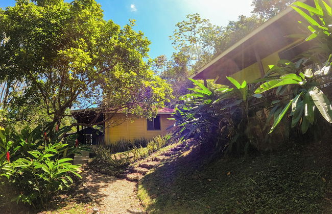 Winíka Alterra - Foto 8