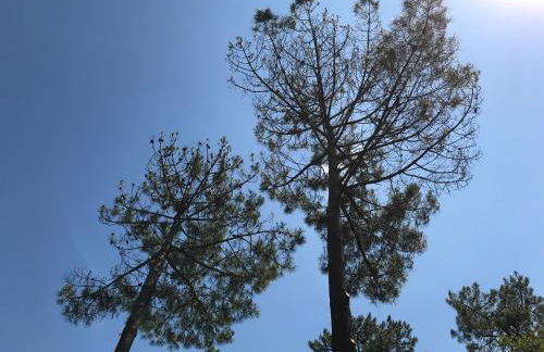 Location villa entre lac et océan avec son spa de nage - Foto 58