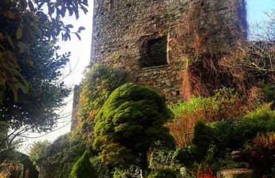 Poplars Cottage - Foto 26