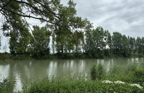 La Cabane du Pêcheur - Foto 57