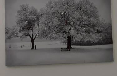 Gerardmer : Residence "l'eau vive" - Foto 24