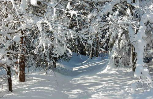 WEITBLICK "entspannen - wohlfühlen - aktiv erholen" - Foto 45