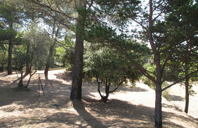 Le Mas du Magnoglia - Foto 29