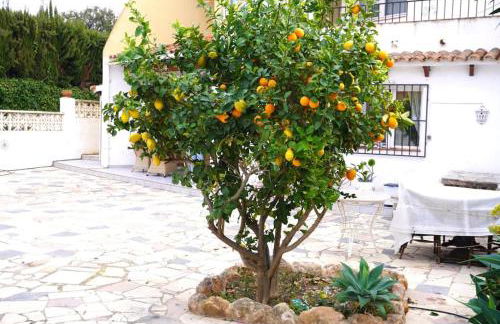 Cozy bungalow in Calpe - Foto 21