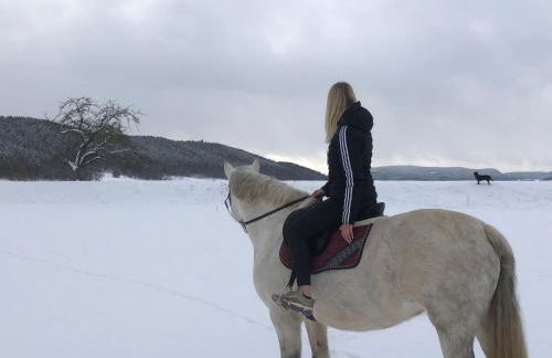 Ferienwohnungen Landliebe "Auszeit mit Wohlgefühl" - Foto 11