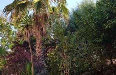 VILLA VICKY - Traditional villa in Evia - Foto 77