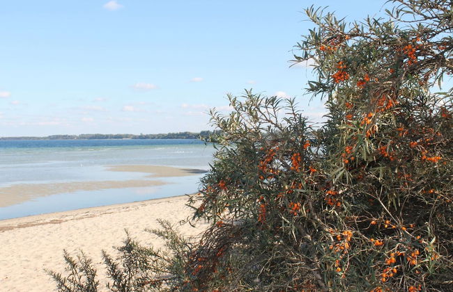 Cozy Apartment in Barnekow With Private Terrace - Photo 74