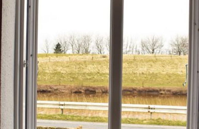 Reetdachhaus Bongsiel - Photo 42