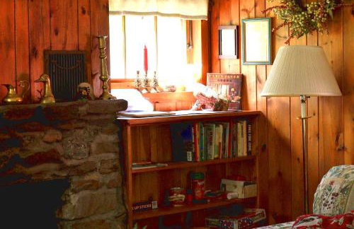 Grizzly Gulch Cabin Historic - Foto 21