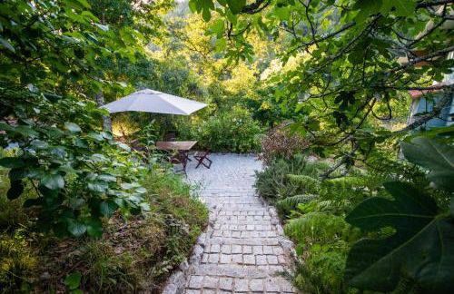 Quinta da Lontra - Foto 32