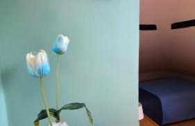 Casa EUROPA - Foto 44