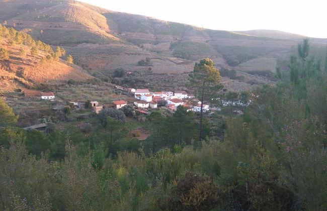 Apartamento Prunus Avium - Foto 1