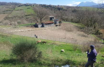 Masseria Marotta - Foto 12