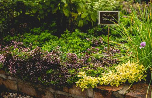 Chata na Zielonym Wzgórzu - Foto 63