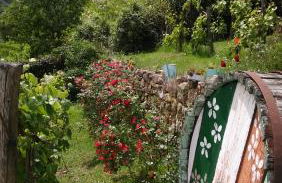 Torre del Drago - Foto 15