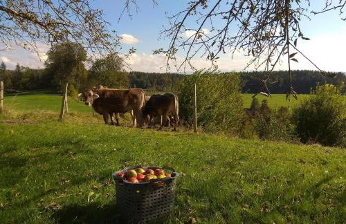 Ferienwohnung Trifts l Wallbox l Parkplatz l AusZeit Card - Foto 10
