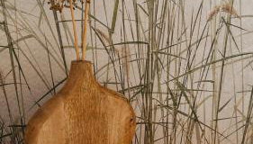 Bujanie w sitowiu - Foto 5