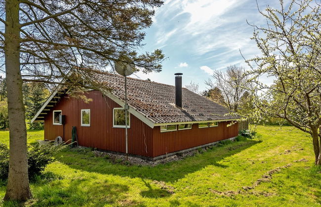 "Henna" - 550m to the fjord - Foto 12