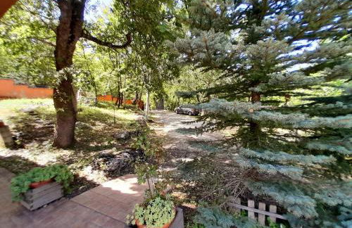 Villa Maria Pia - Foto 25