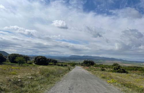 La casica de Pacone, Los Odres - Foto 15