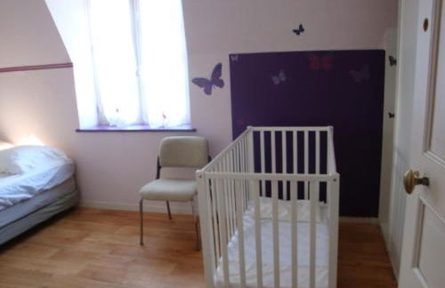 chateau du ponthereau - Foto 1