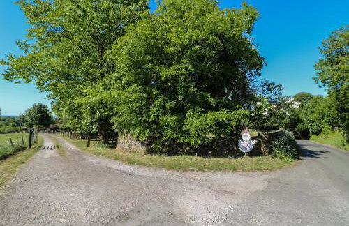 The White Cloud Bus - Foto 19