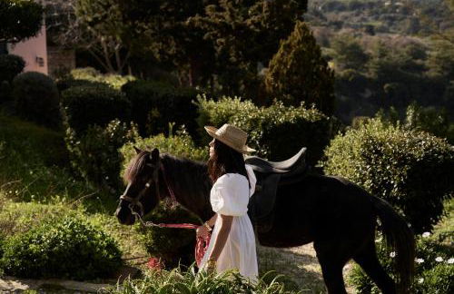 Eliathos Hillside Retreat - Foto 27