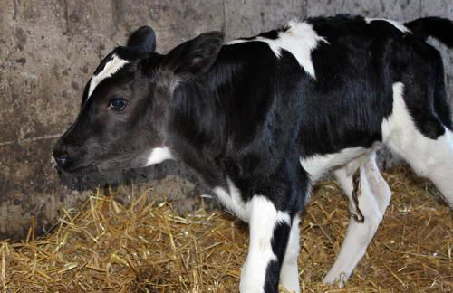 Hof Reckermann I - Foto 17