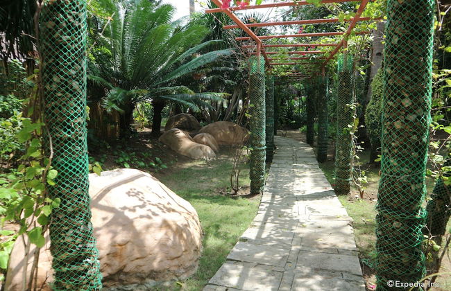 Dos Palmas Island Resort & Spa - Foto 61