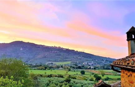 Margherita Holiday Home - Foto 61