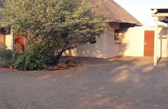 Villa Bushman Wonderful Luxury and Attractive Villa - Photo 7