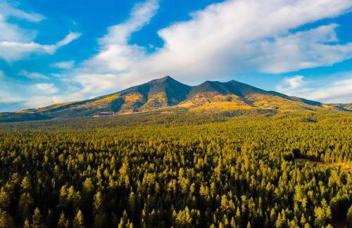 Luxury Home Downtown NAU Route 66 Snowbowl - Foto 46