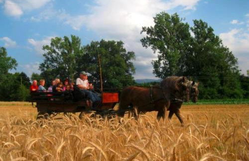 Ferienwohnungen Maierhof Oberried - Foto 57