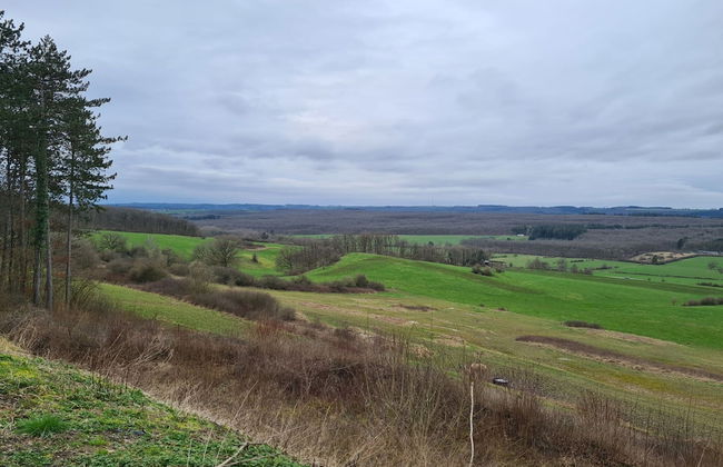 Cozy Family Home in Humain - Photo 29