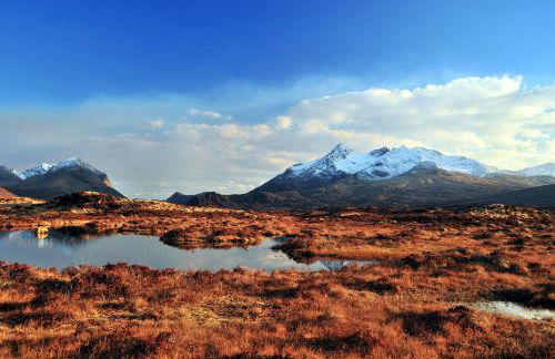 Rowan Cottage Self Catering - Foto 36