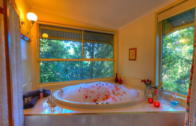 The Falls Montville - Photo 16