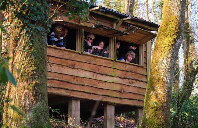 The Mole Resort - Lodges - Photo 58