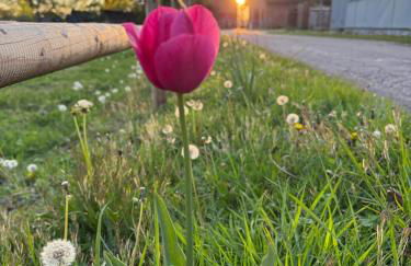 Q80 Appartement - Foto 54