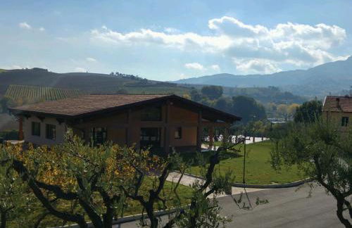 Le Vigne di Clementina Fabi - Foto 37