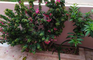 Creta guesthouse ARXONTIKO! - Foto 27