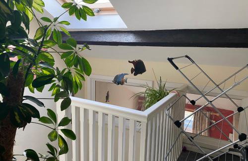 Arnside sea view - Photo 12