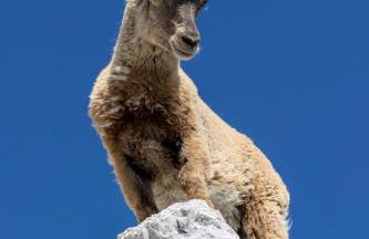 Cave Trieste Apartments - CaTs Apartments - Photo 33