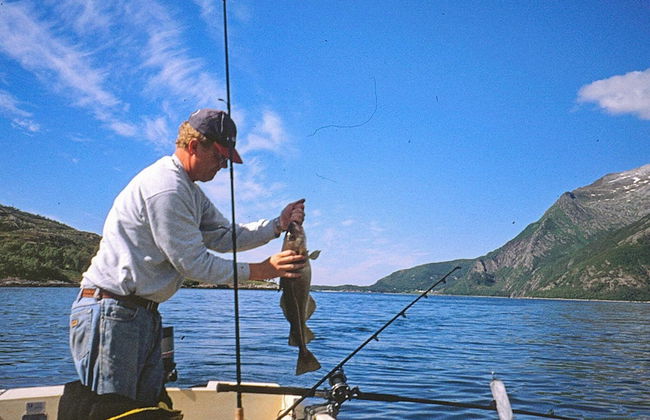 6 Person Holiday Home in Naustbukta-by Traum - Photo 6