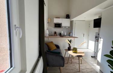 l'Apparté Saint Michel - T1bis - Métro - TRAM - Foto 36